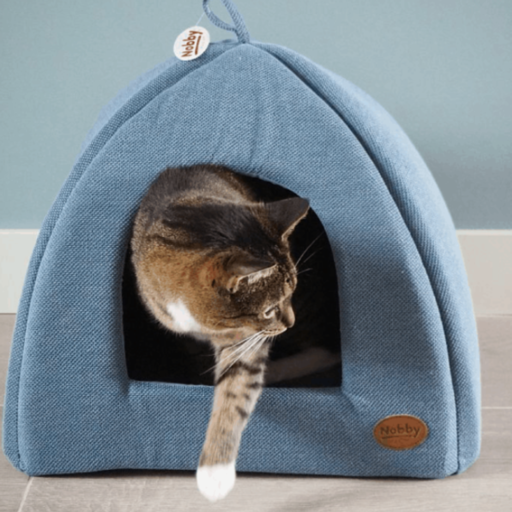 Gato Boutique Cama Ideal Para Gatos Cama Iglú Para Gatos